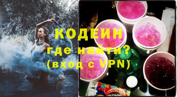 хмурый Михайловск