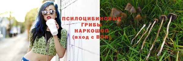 хмурый Михайловск