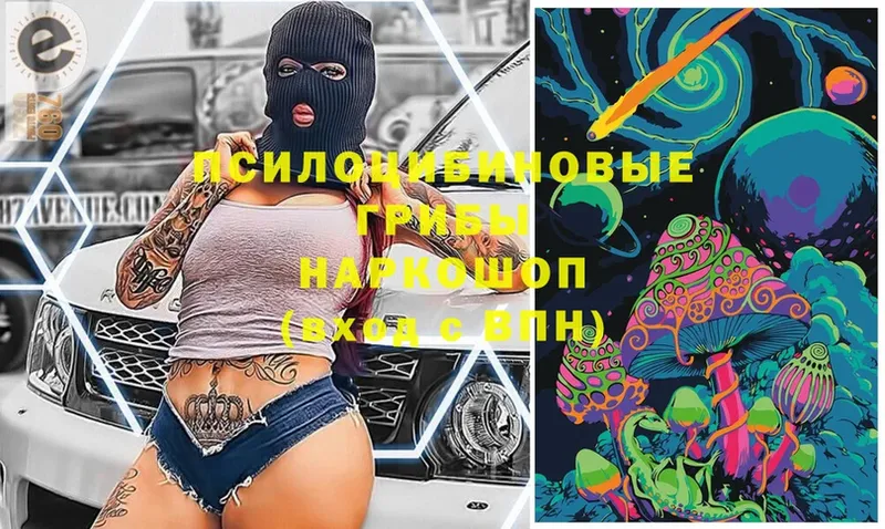 omg ONION  Морозовск  Галлюциногенные грибы Psilocybe 